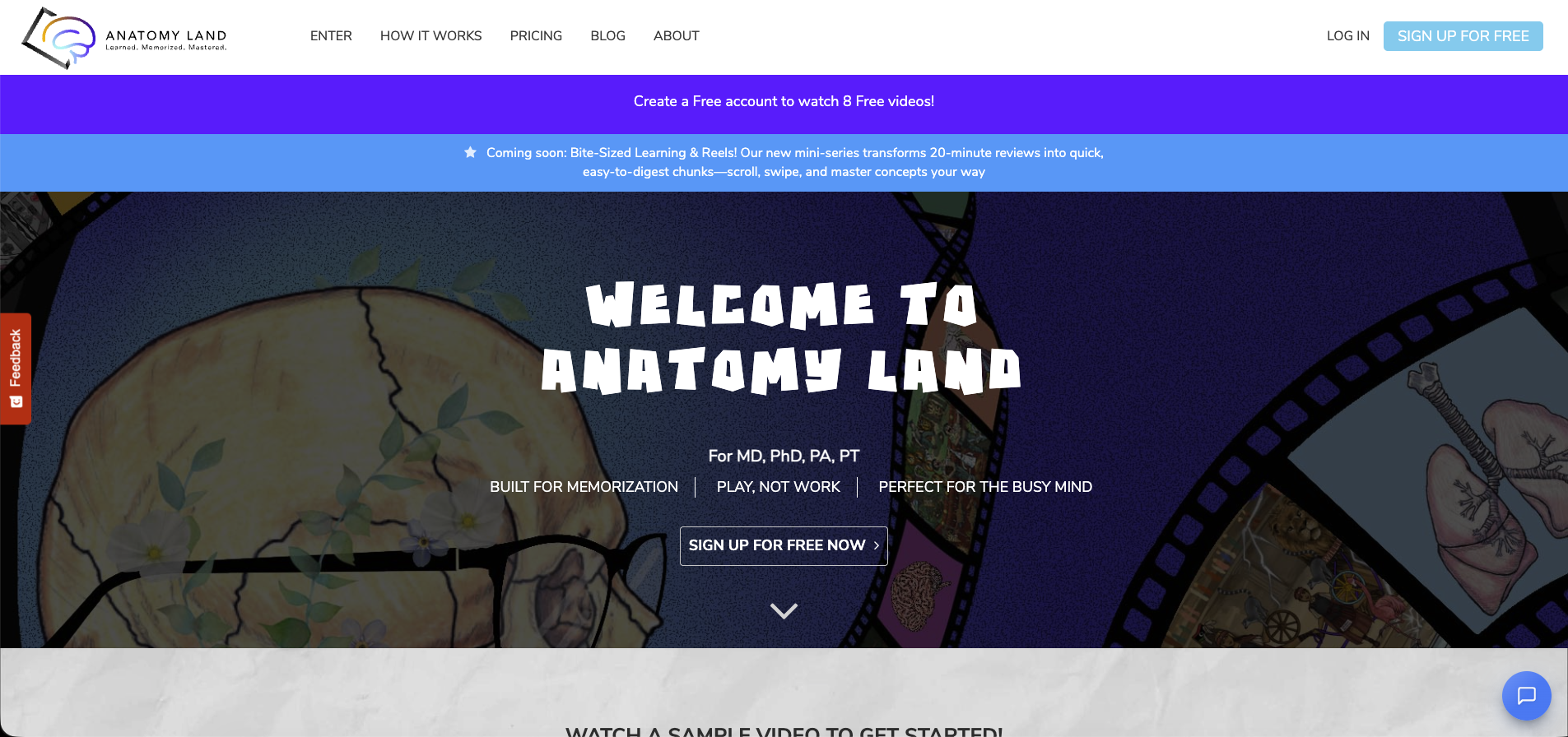 Anatomyland project